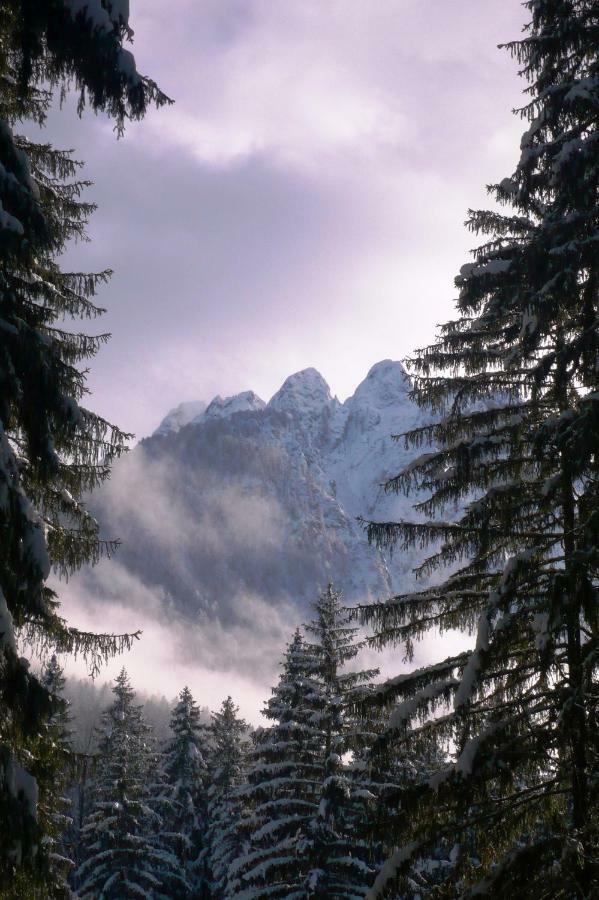 Mountain Loft Villa Tarvisio Exterior photo
